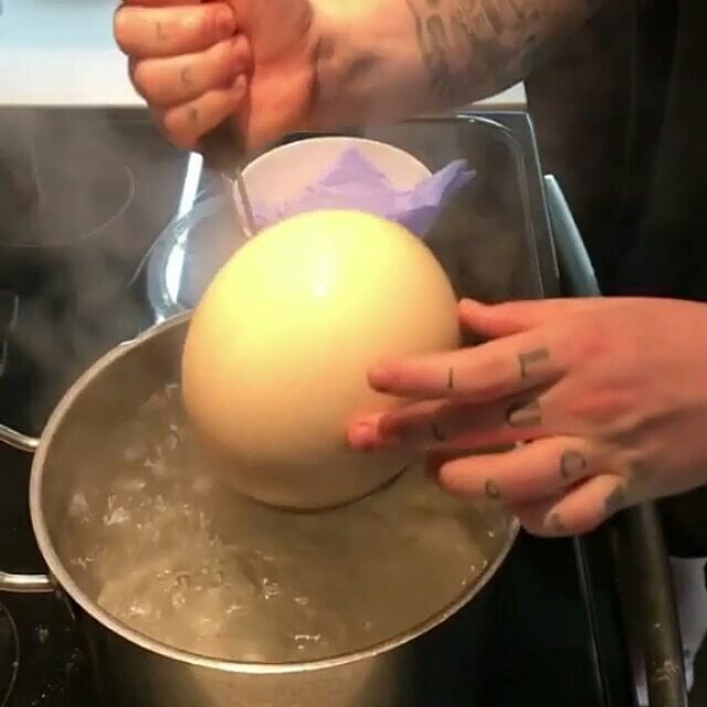 Taze Devekuşu Yumurtası
