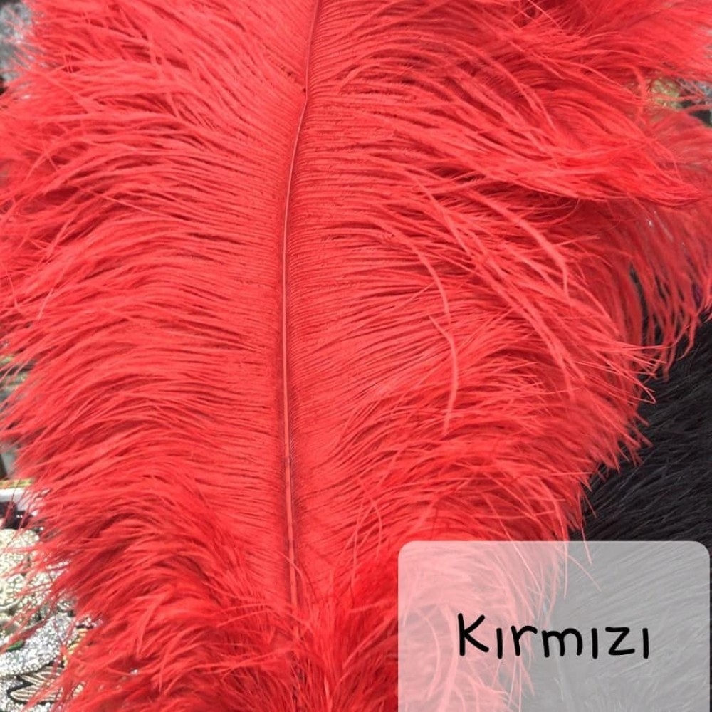 Red%20Ostrich%20Feather