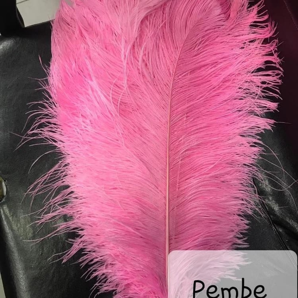 Pink%20Ostrich%20Feather